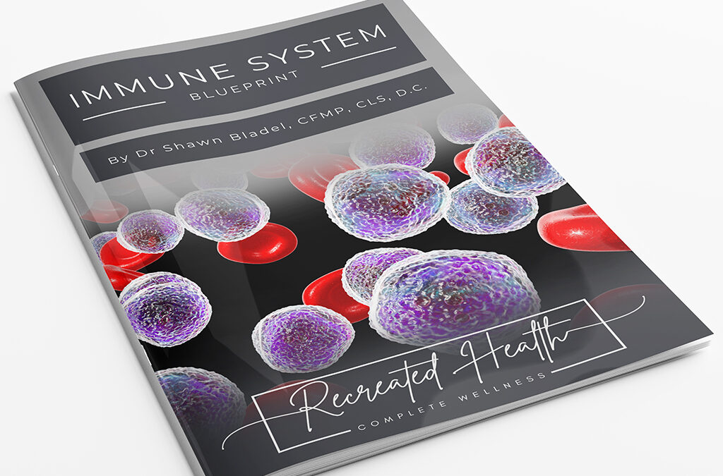 Immune System Blueprint (Free Handout)