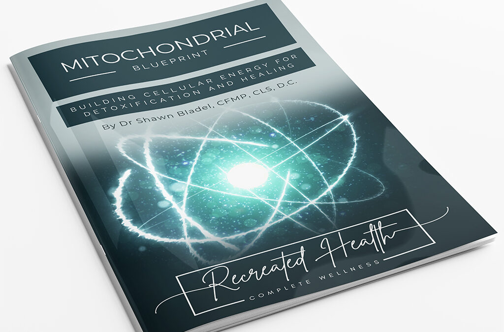 Mitochondrial Blueprint (Free Handout)