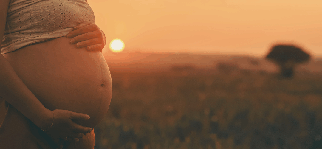 Lyme Disease Isn’t Just From Ticks: The Truth About Transmission