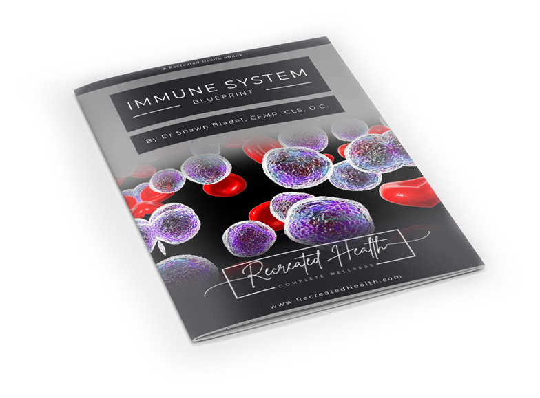 Immune System Blueprint